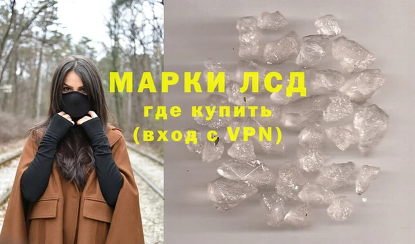 PSILOCYBIN Алзамай