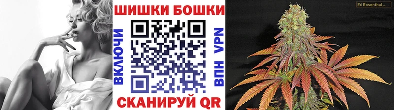 Бошки Шишки марихуана  купить наркоту  Грозный 